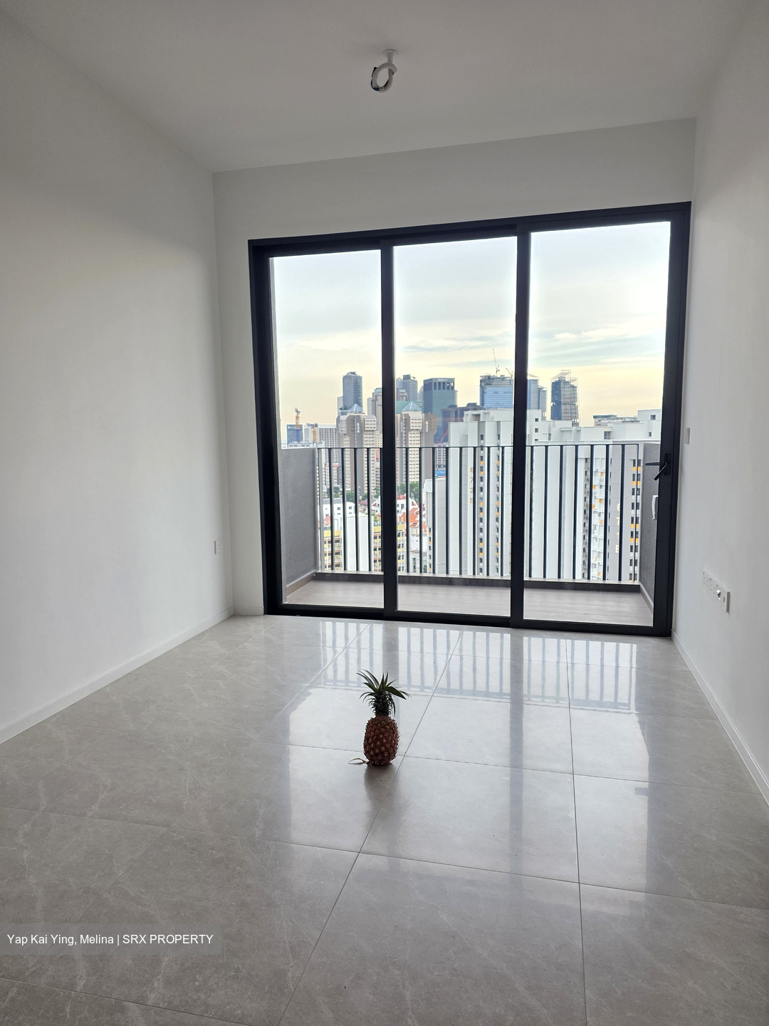 Piccadilly Grand (D8), Apartment #551476781
